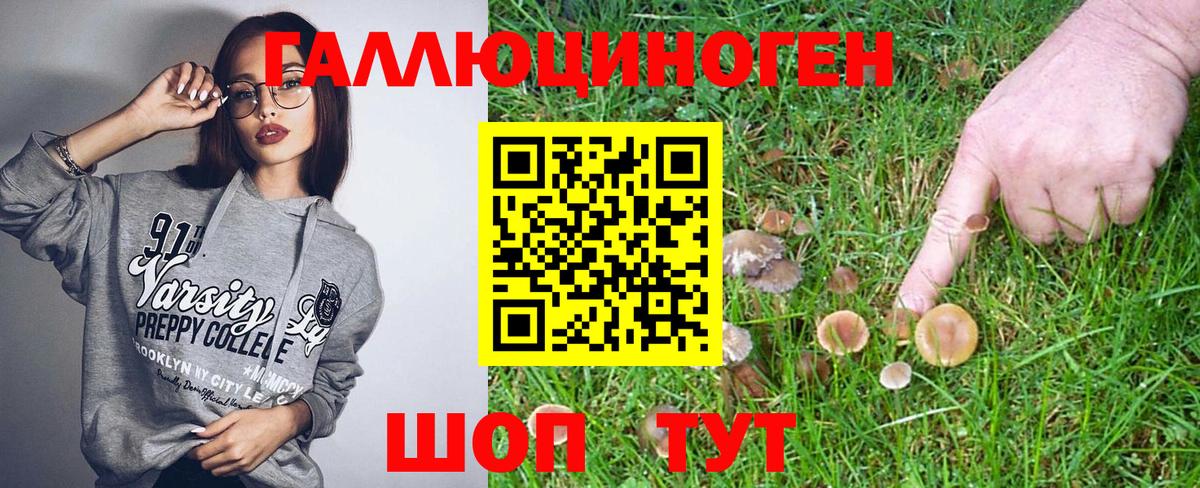 Псилоцибиновые грибы Psilocybe Кохма