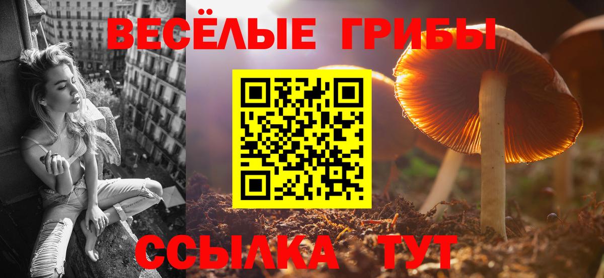 Кохма  Псилоцибиновые грибы MAGIC MUSHROOMS  Вход с VPN  Псилоцибиновые грибы прущие грибы 